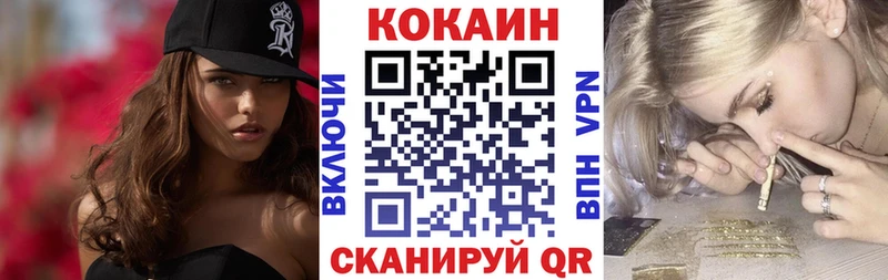 Cocaine FishScale  Купить закладки  Пушкино 