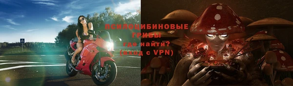 ешки Михайлов