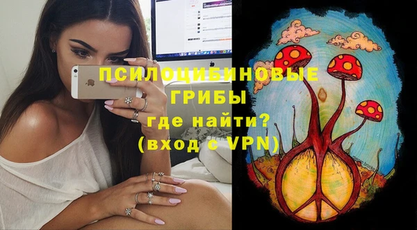 ешки Михайлов