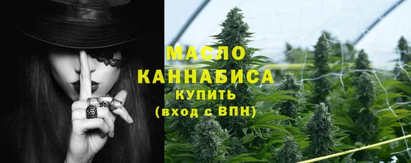 ешки Михайлов