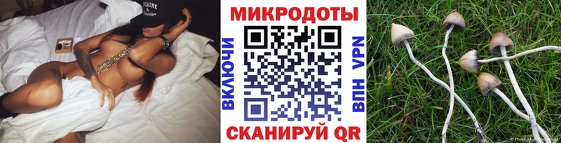 Купить где  Пушкино  Псилоцибиновые грибы ЛСД 