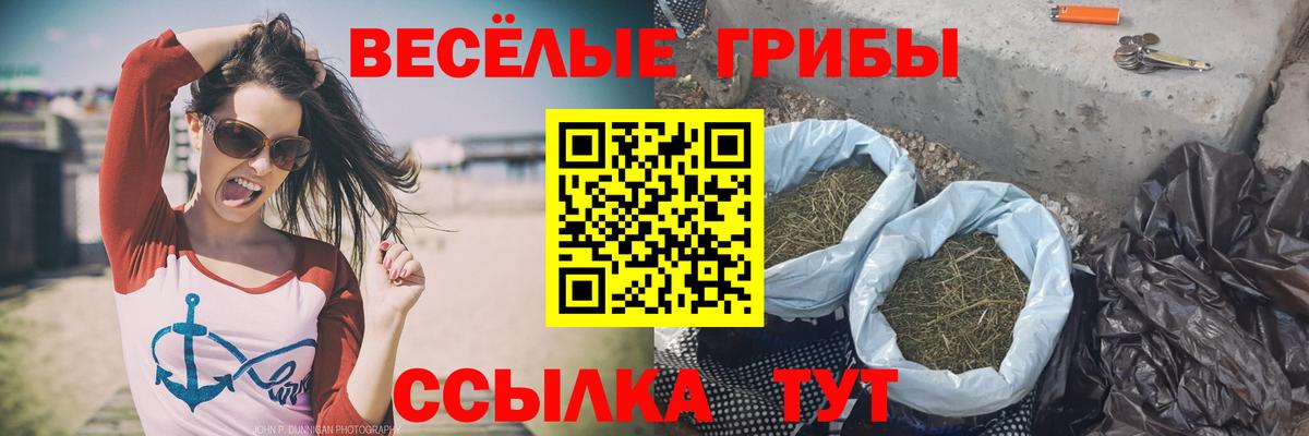 Псилоцибиновые грибы мицелий  Галлюциногенные грибы GOLDEN TEACHER  Пушкино 