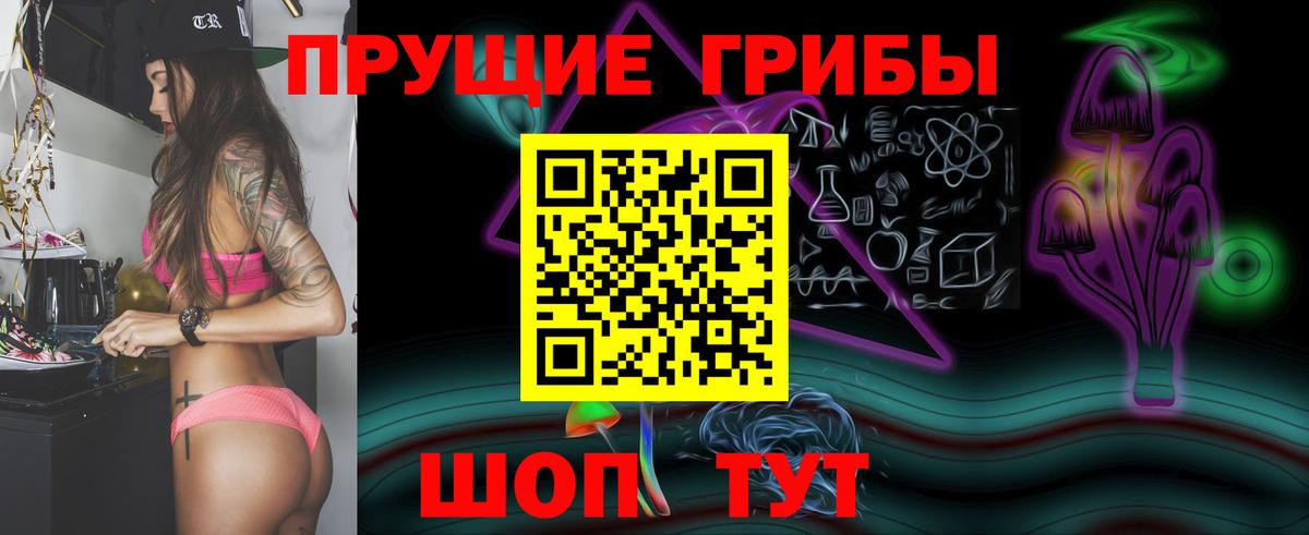 Пушкино  Галлюциногенные грибы Psilocybe  Вход с VPN  Галлюциногенные грибы прущие грибы 